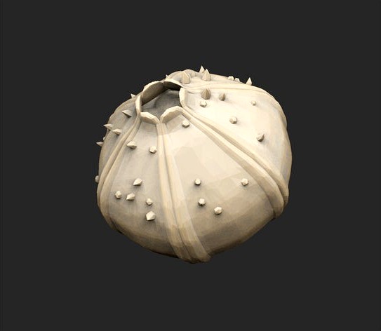 Throwable Items Etc x12 Savage Planet