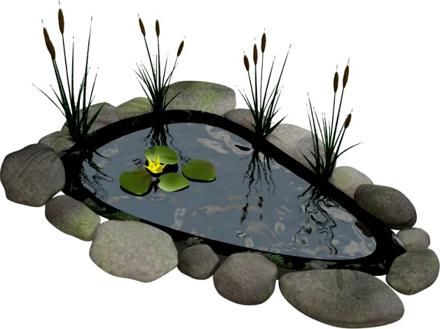 Fish pond 3D Model