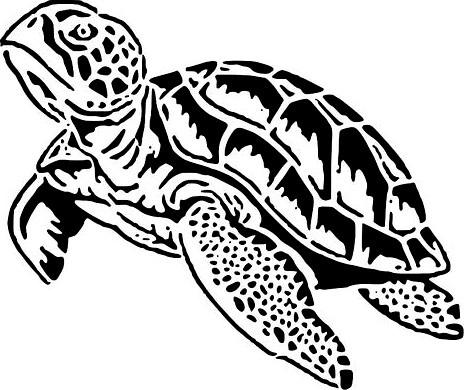 Sea Turtle stencil