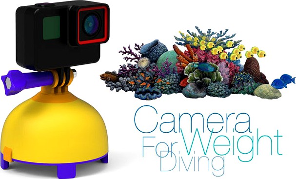Camera Weight for Diving