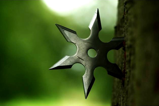 Throwing Star (Ninja star)