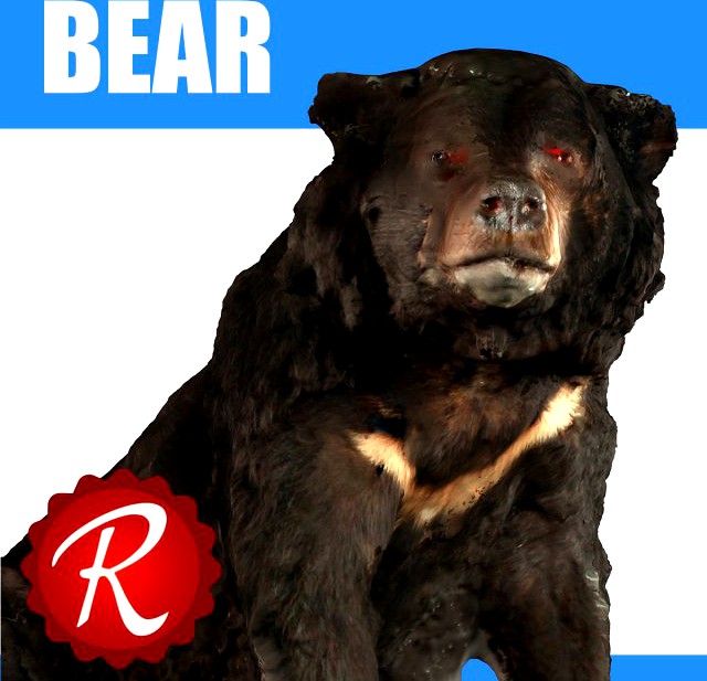 Bear 3D Model