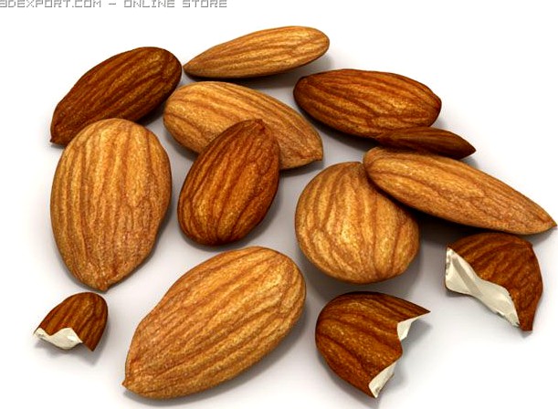 Almonds unshelled 3D Model