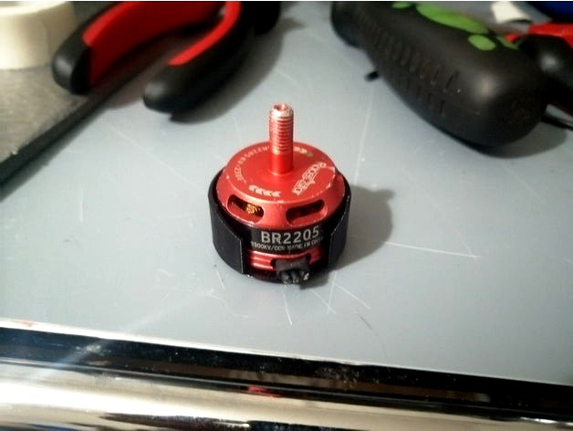 Motor guard for 2205