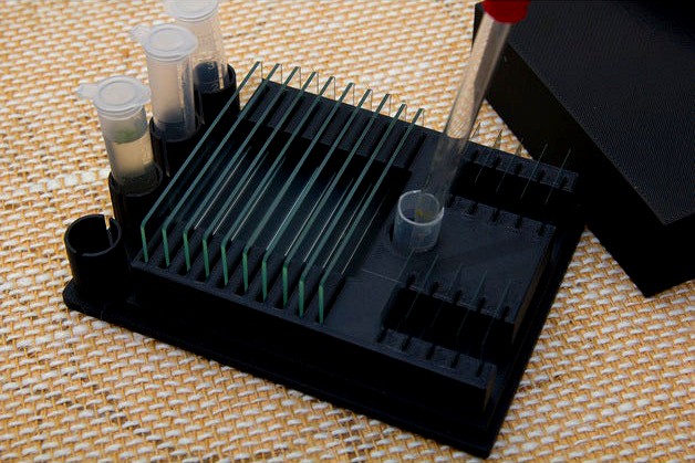 Microscope Slide Workbox