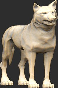 Wolf Standing