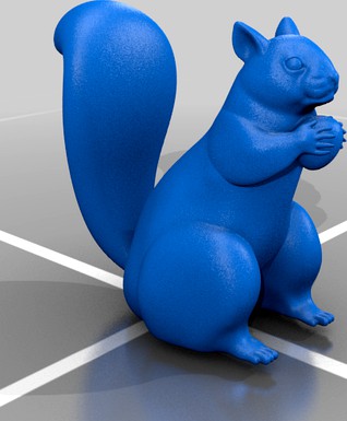 Squirrel