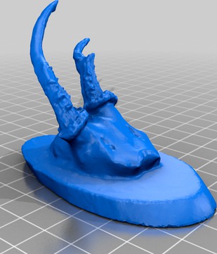 deer antlers special