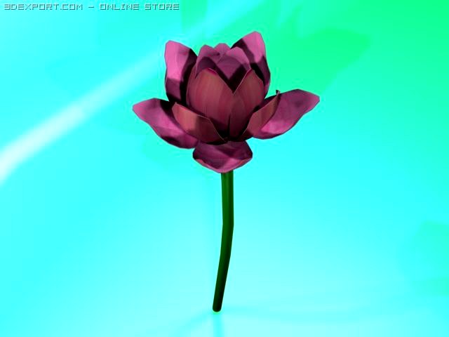 Lotus flower 3D Model