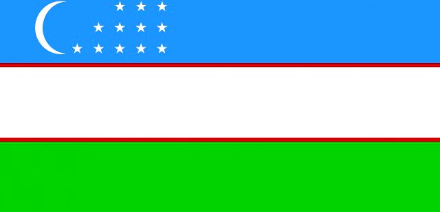 Uzbekistan flag 3D Model