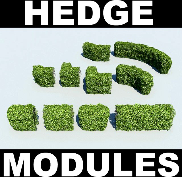 Hedge Modules 3D Model