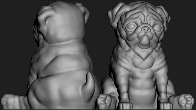 Pug supportless