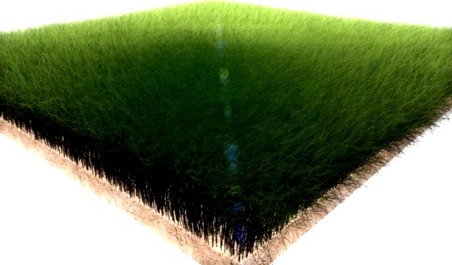 Dynamic Grass 3D Model