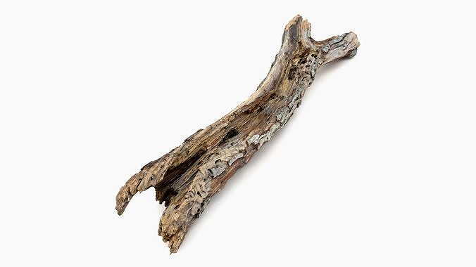 Withered Tree Hide