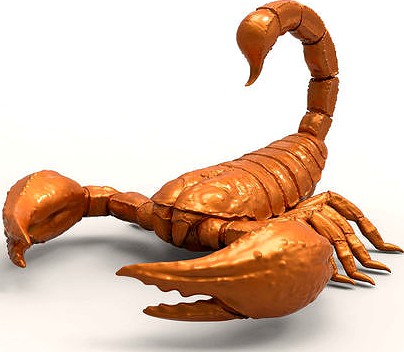 Scorpion