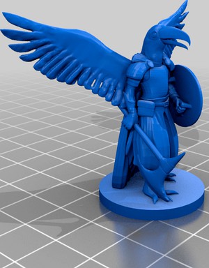 Tucati Warrior with axe (Toucan Aarakocra)