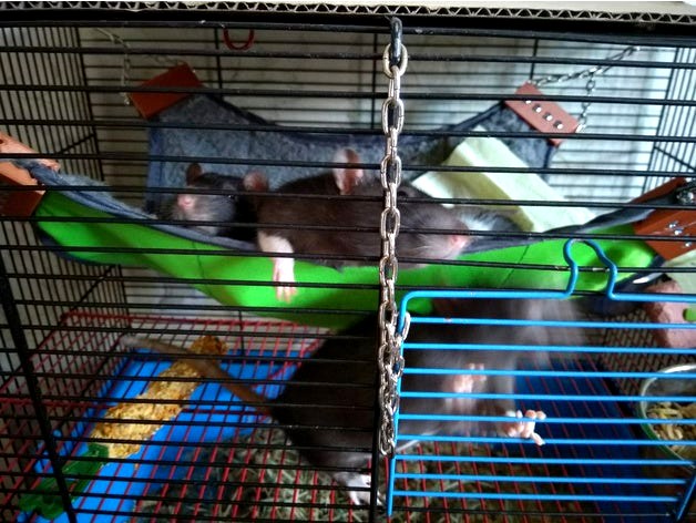 Hammock prosthesis
