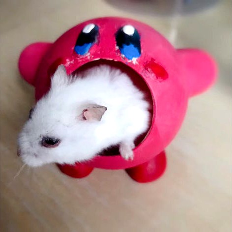Hamster's Nest of Kirby