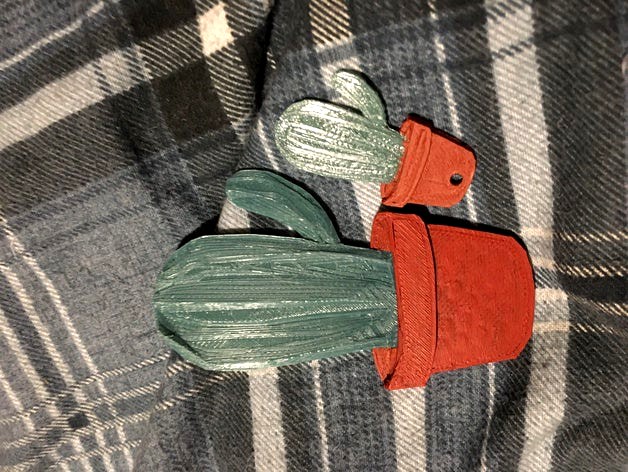 Cactus keyring