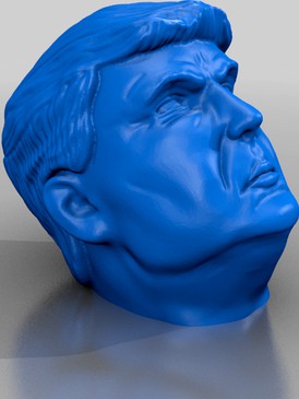 Trump Head 1