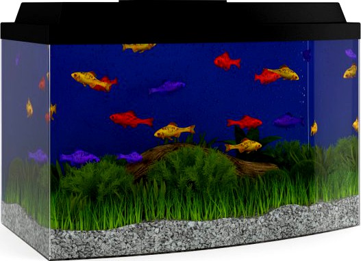 Black Top Aquarium 3D Model