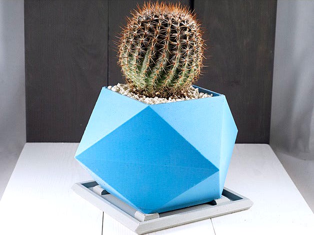Spikey Planter