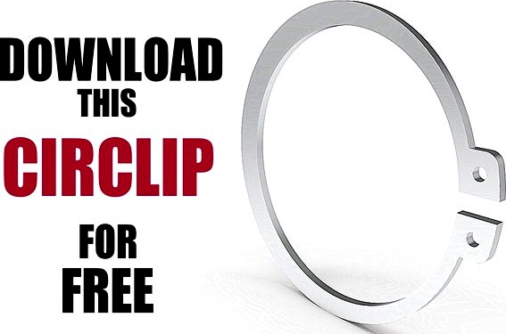 Circlip