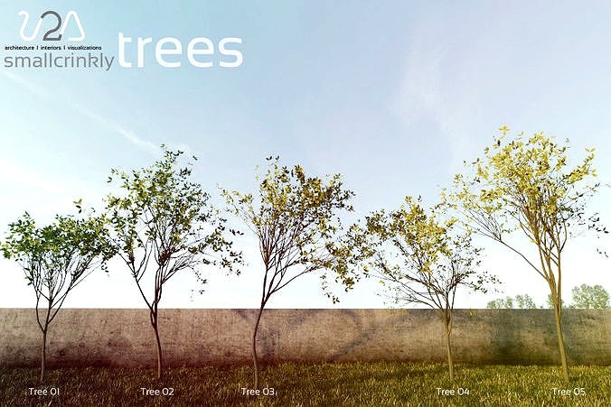 tree arb
