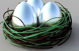eggs in nest | 3D