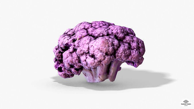 Vegetable Purple Cauliflower - Phoscanned PBR