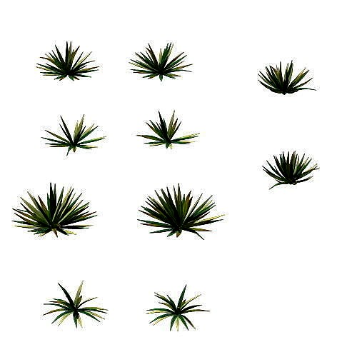 Game Model - prairie scene - Desert Plants 01