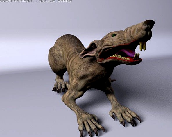 Rat 3D Model