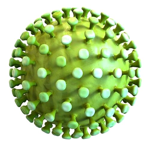 Coronavirus