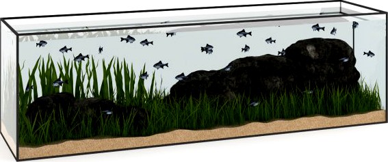 Large Rectangular Aquarium 3D Model