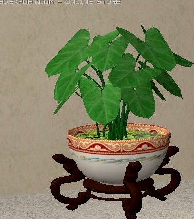 Asian Plant 3D Model