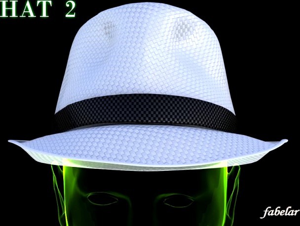 Hat 2 3D Model