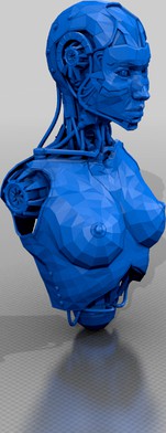 android torso