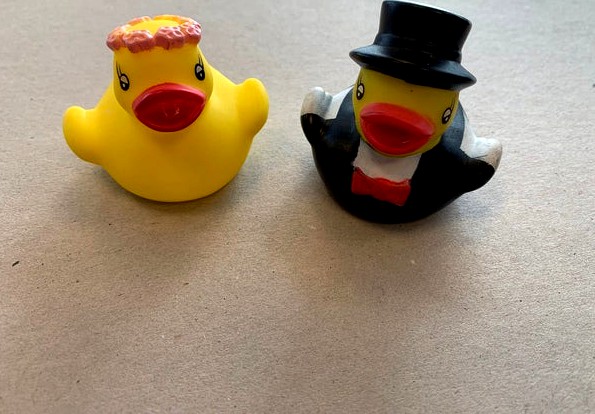 Duck Wedding couple
