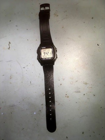 Casio watch female band