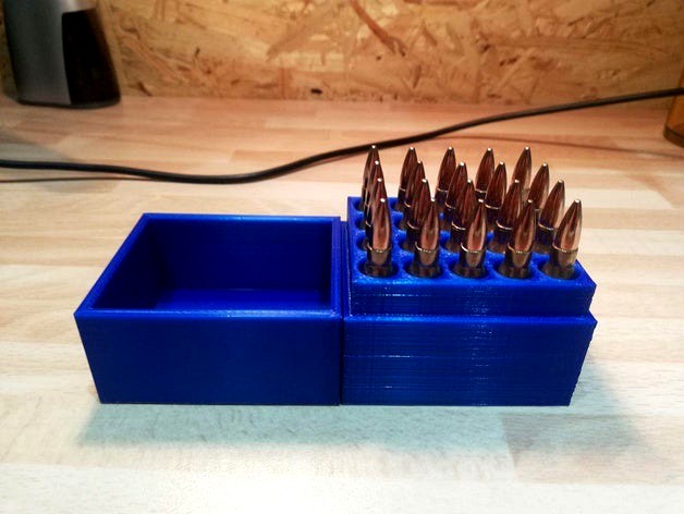 .223 Ammo Box (25)