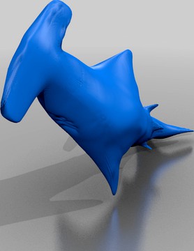 Hammerhead Shark