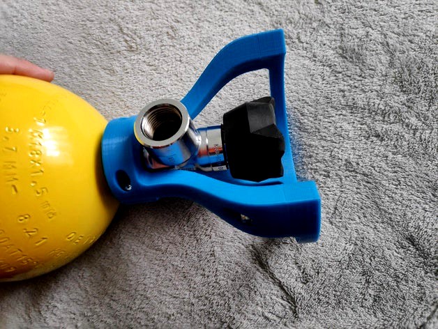 Air Tank Valve Guard