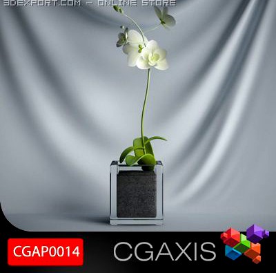 CGAXIS plant 14 3D Model