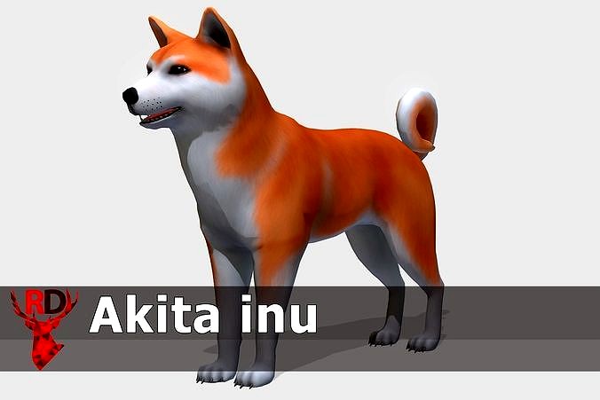 Akita inu