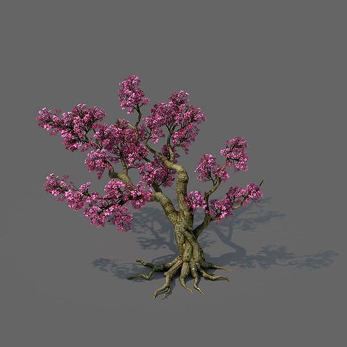 Forest - Peach Blossom Tree 02
