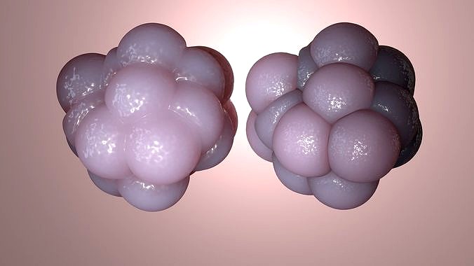 Cellular cluster
