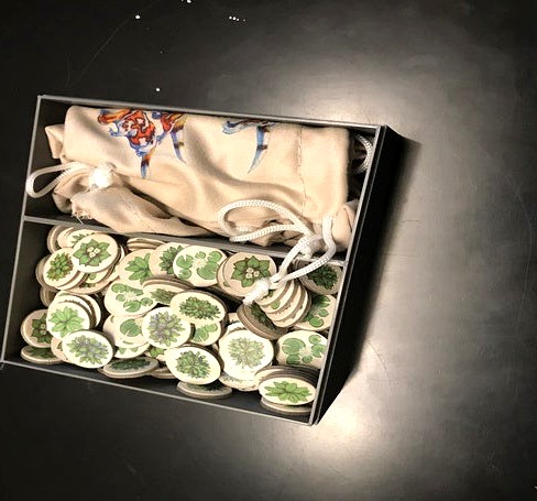 Evolution: The Beginning