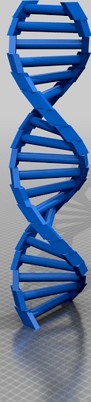 Customizable DNA