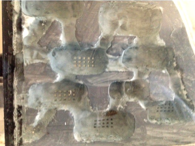 large ant nest