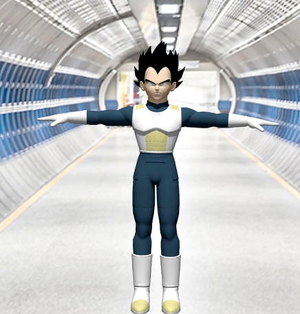 Vegeta in the Dragon Ball Include skeleton binding